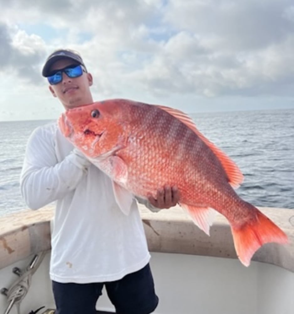 Full Day 8 Hour Offshore Epic Fishing In Clearwater