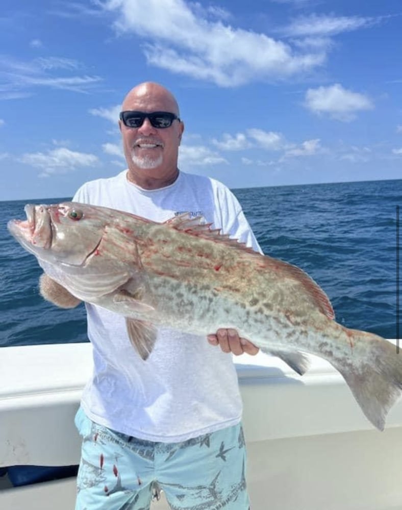 Full Day 8 Hour Offshore Epic Fishing In Clearwater