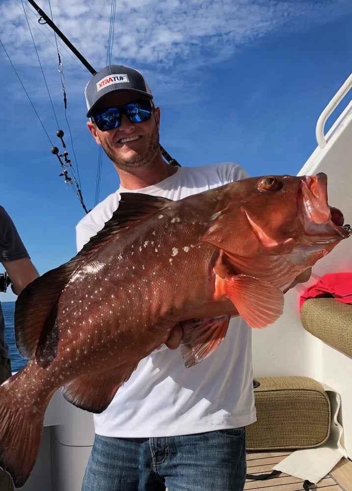 Full Day 8 Hour Offshore Epic Fishing In Clearwater