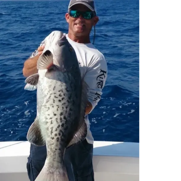 Full Day 8 Hour Offshore Epic Fishing In Clearwater