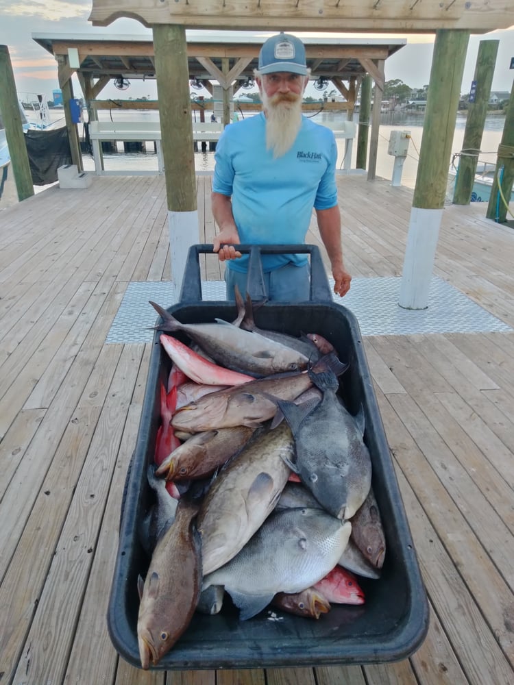 Orange Beach 4-Hour Trolling Excursion In Orange Beach