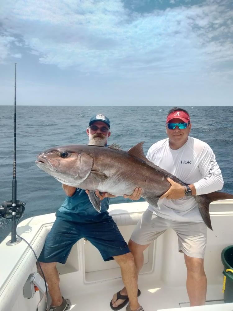 Orange Beach 4-Hour Trolling Excursion In Orange Beach