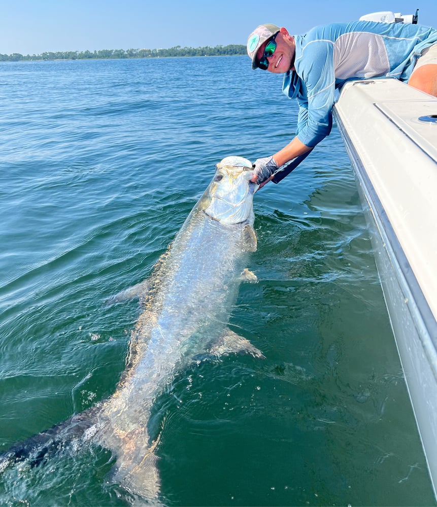 Tarpon Fishing In Panama City