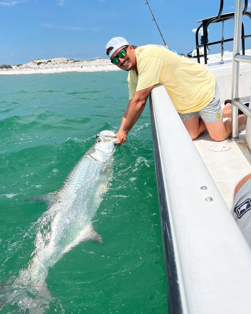 Tarpon Fishing In Panama City