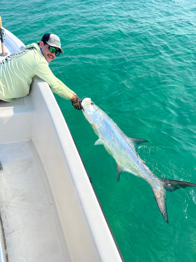 Tarpon Fishing In Panama City