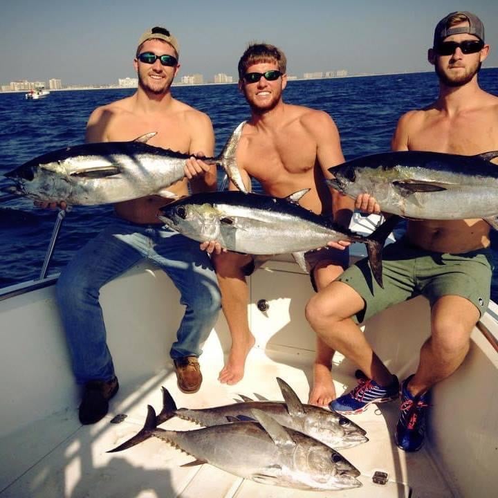 Bottom Fishing And Trolling In Destin