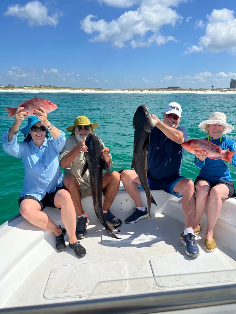 Bottom Fishing And Trolling In Destin