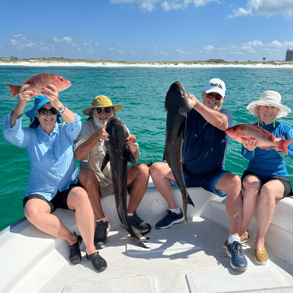 Bottom Fishing And Trolling In Destin