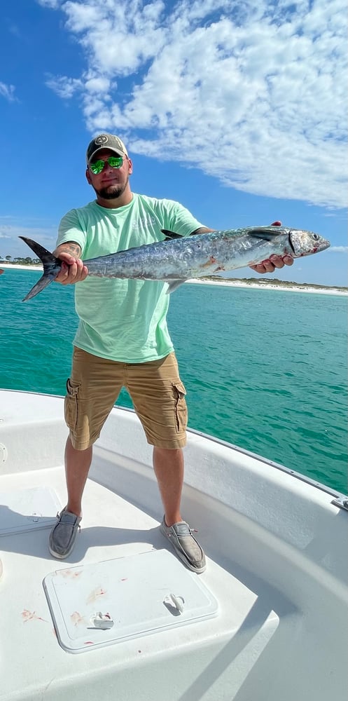 Bottom Fishing And Trolling In Destin