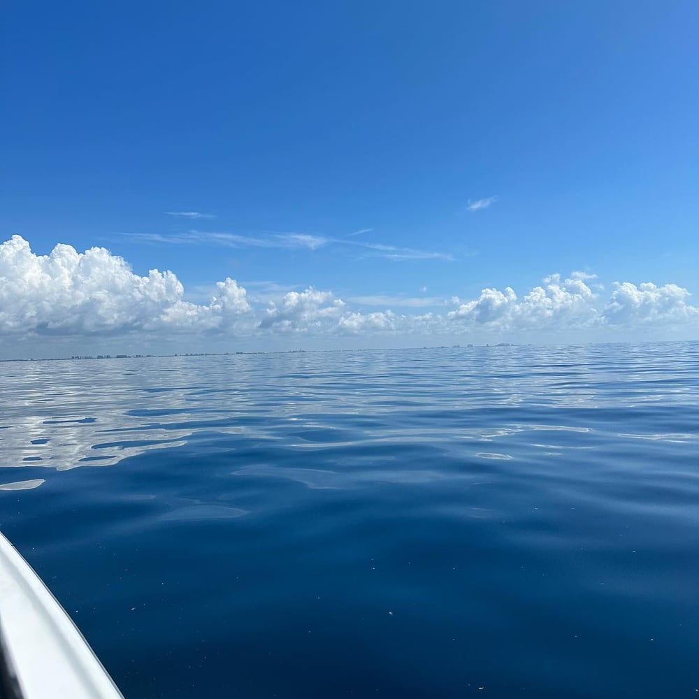 3 Hour Cruise/Trolling In Orange Beach