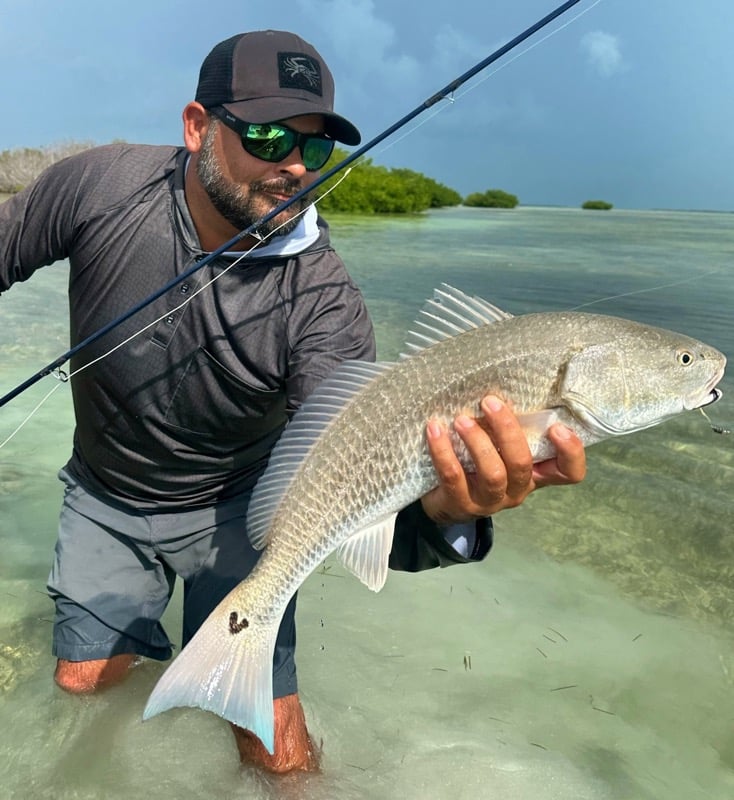 Tavernier Backcountry Fishing In Tavernier