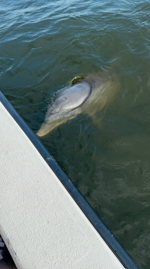 3 Hour Kids Fishing Trip In Elberta