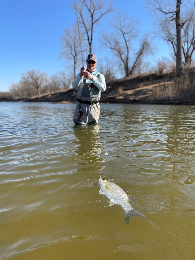 Brazos River Fly Fishing In Rio Vista