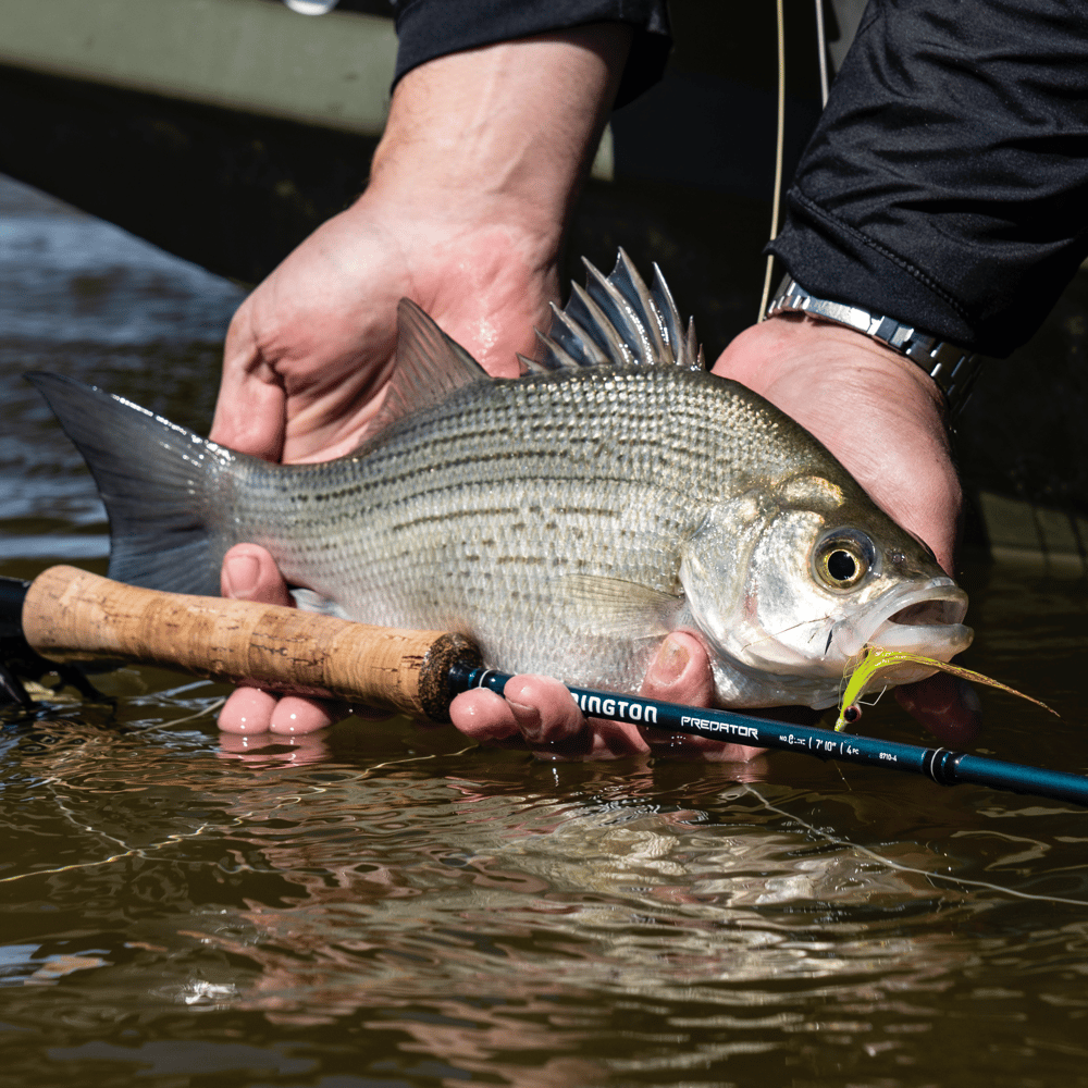 Brazos River Fly Fishing In Rio Vista