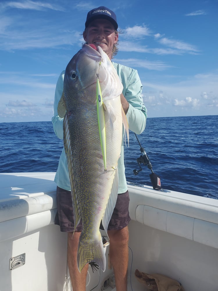 Trolling And Bottomfishing Action! In Jupiter