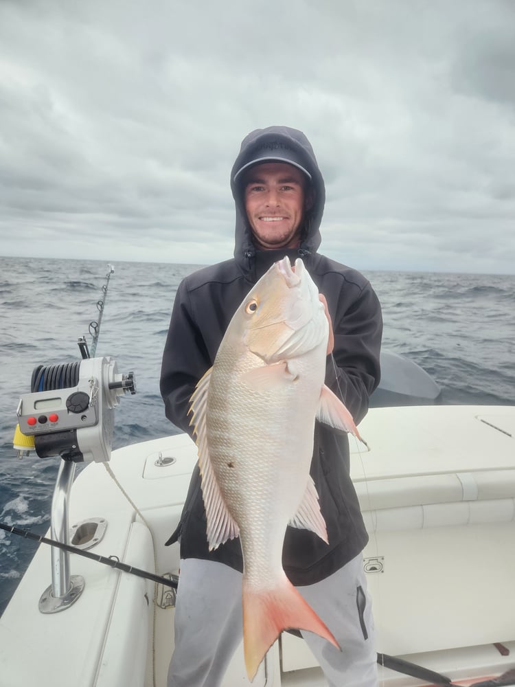 Trolling And Bottomfishing Action! In Jupiter