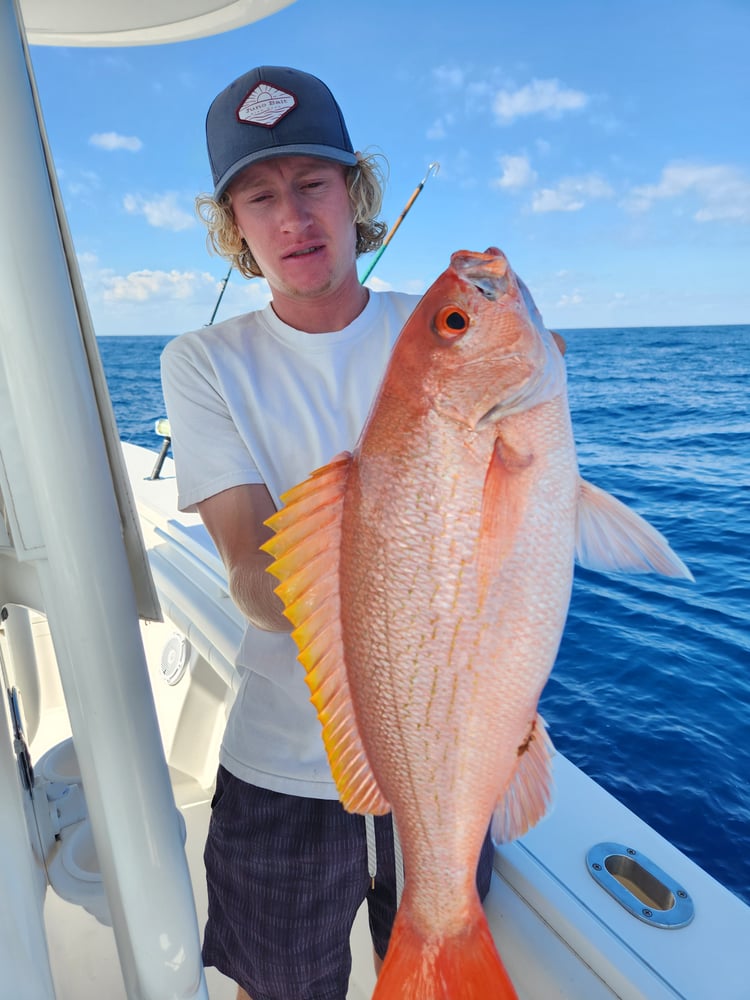 Trolling And Bottomfishing Action! In Jupiter