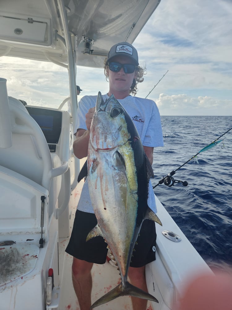 Trolling And Bottomfishing Action! In Jupiter