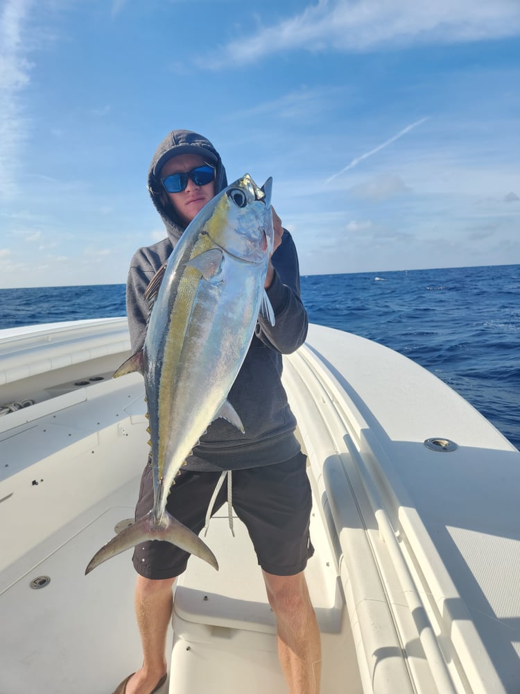 Trolling And Bottomfishing Action! In Jupiter