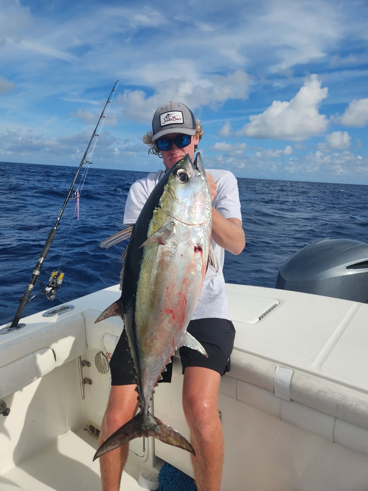 Trolling And Bottomfishing Action! In Jupiter