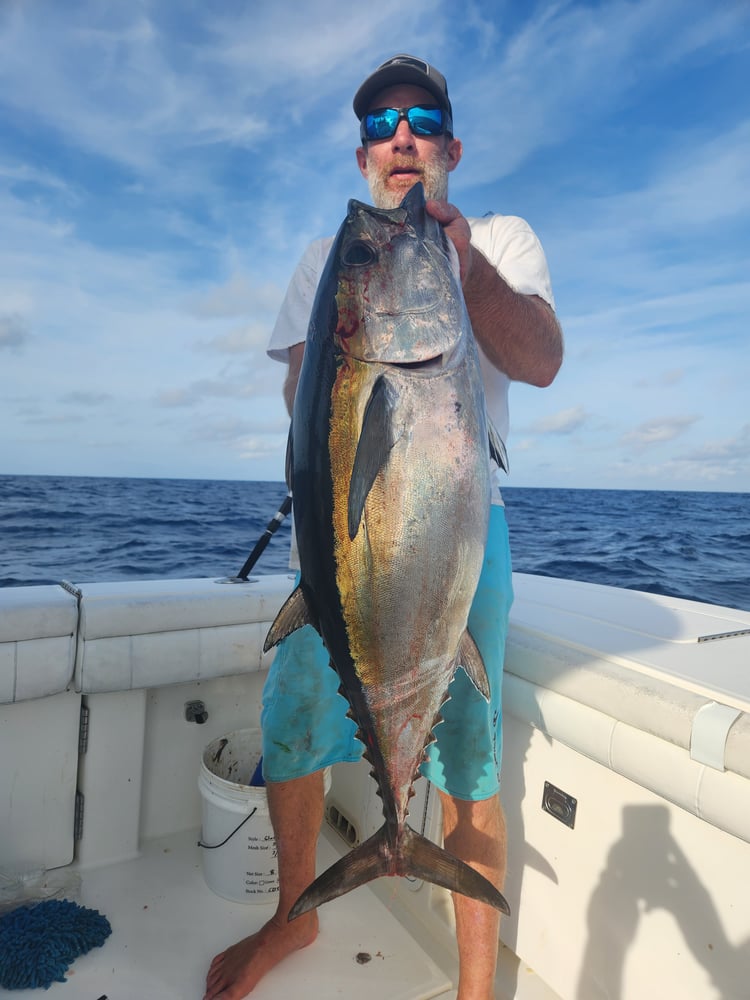 Trolling And Bottomfishing Action! In Jupiter