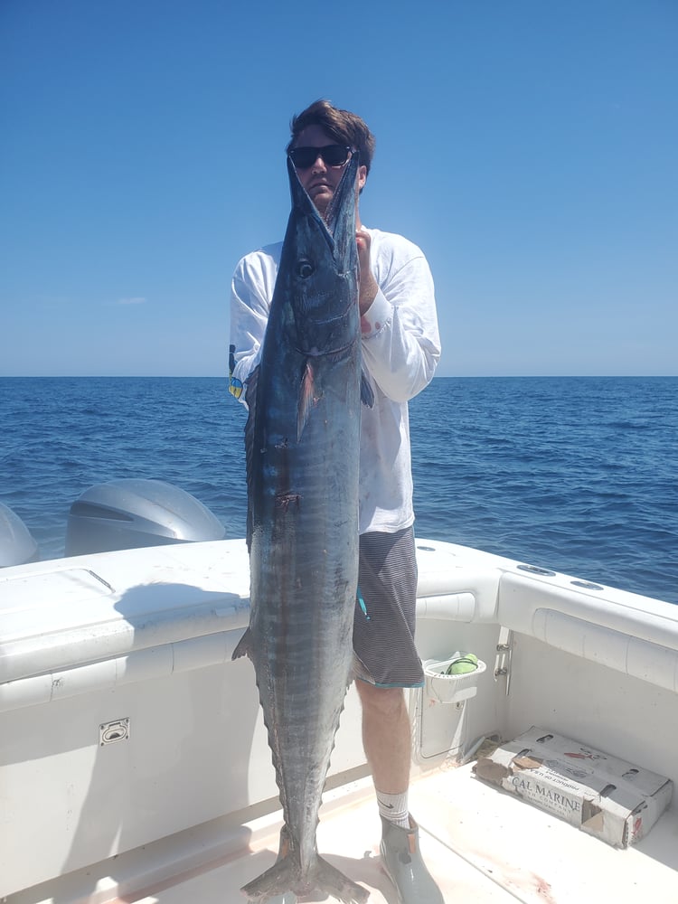 Trolling And Bottomfishing Action! In Jupiter