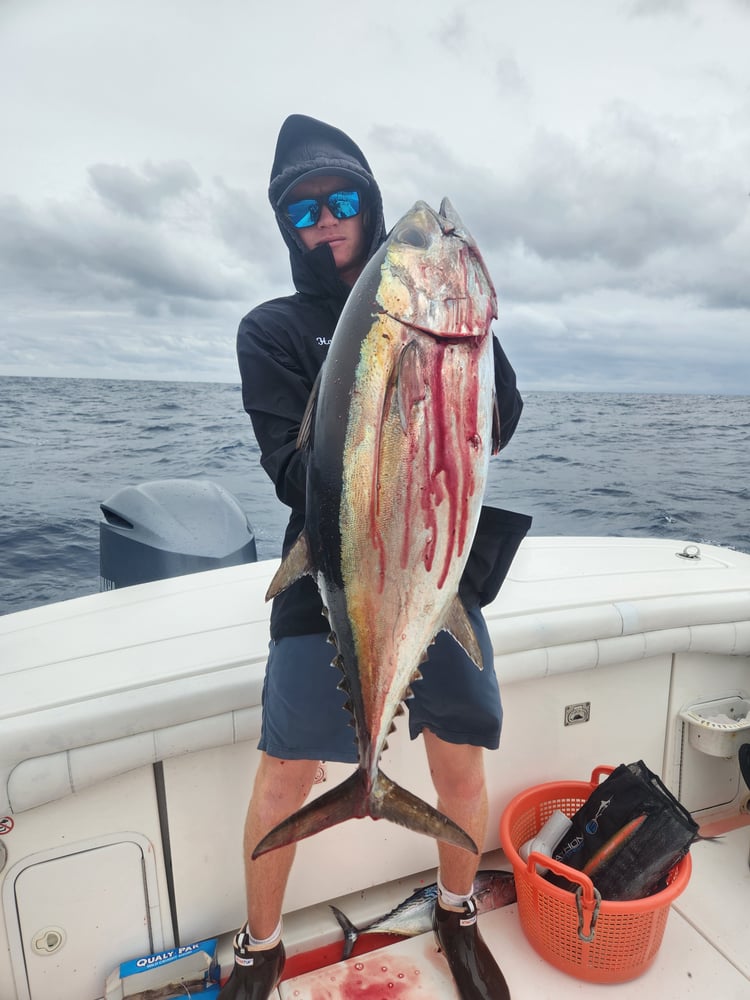 Trolling And Bottomfishing Action! In Jupiter