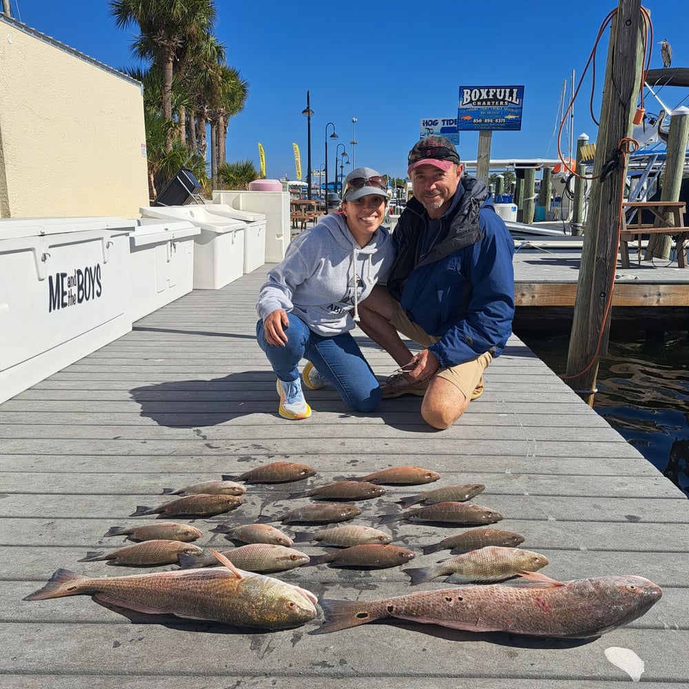 Inshore Light Tackle Trips In Panama City Beach