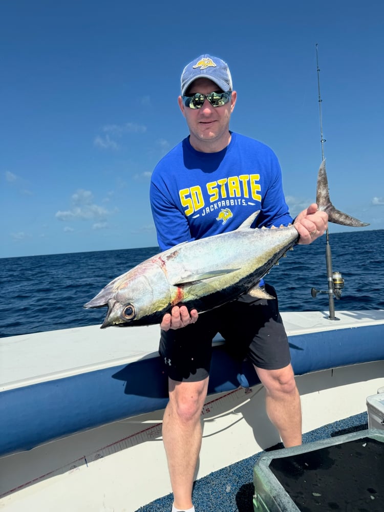 Mahi And Tuna In Islamorada