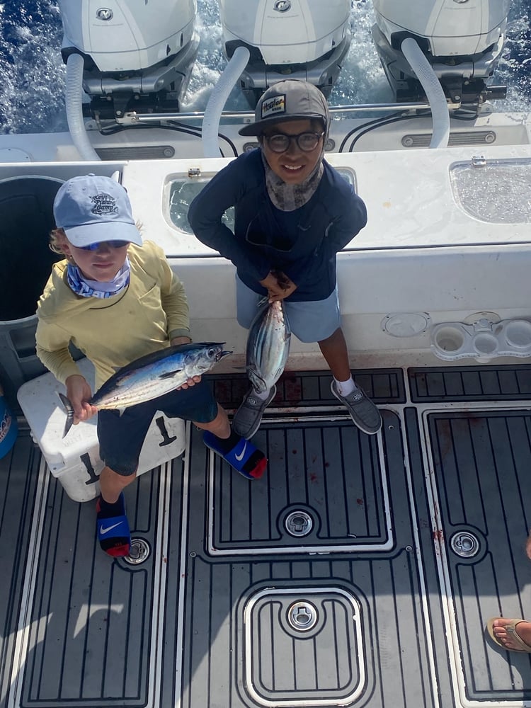 Mahi And Tuna In Islamorada