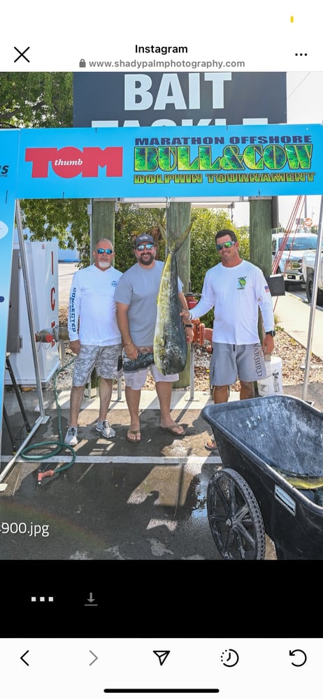 Mahi And Tuna In Islamorada