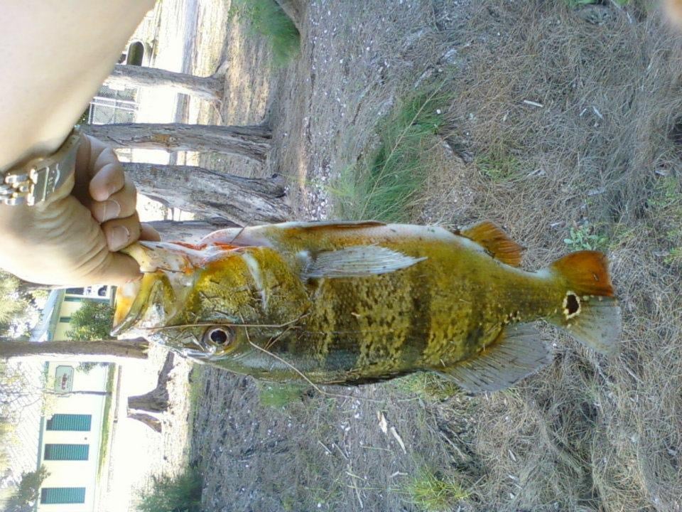 Everglades Fishing In Weston