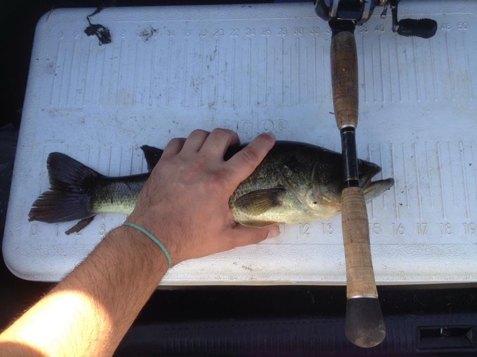 Everglades Fishing In Weston