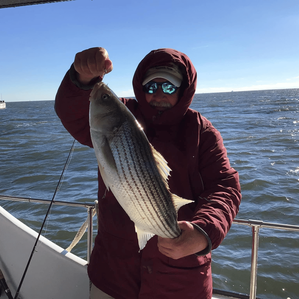 6 Hour Trip- Striped Bass In Highlands