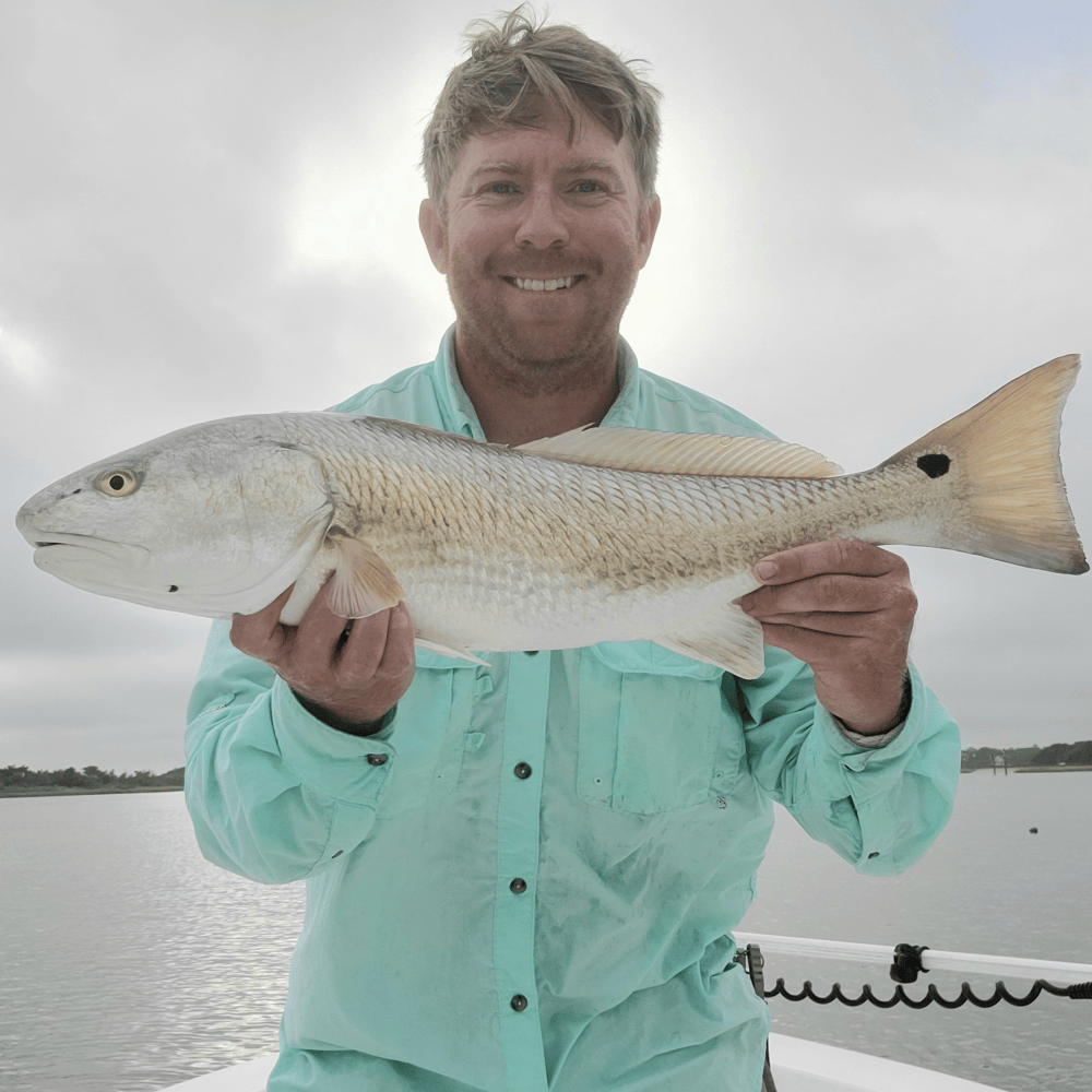 Insane Inshore Trip In Hampstead