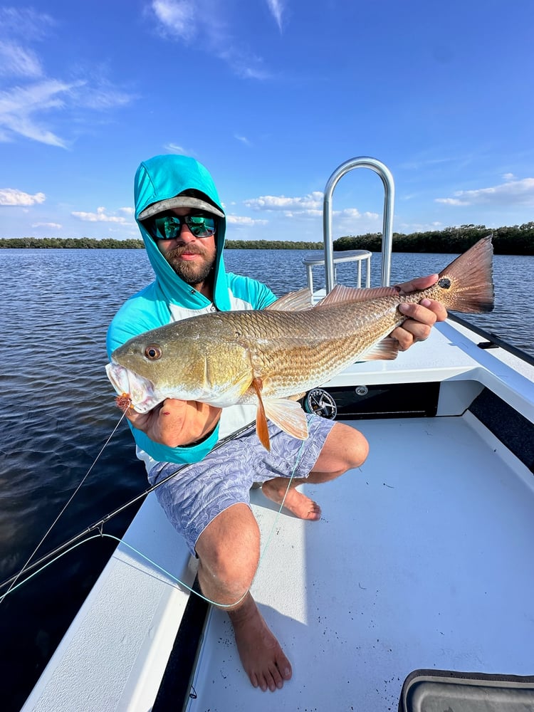 Fly Fishing Charters In Tarpon Springs