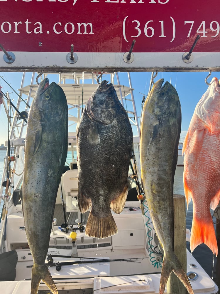 6 Hour Red Snapper Trip W/AC! In Port Aransas