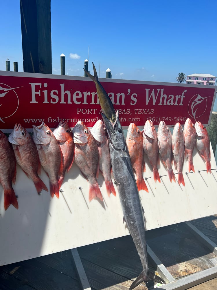 6 Hour Red Snapper Trip W/AC! In Port Aransas