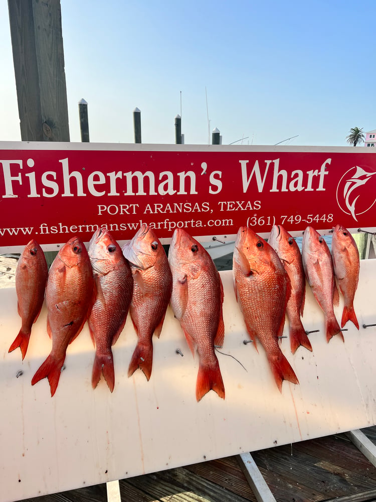 6 Hour Red Snapper Trip W/AC! In Port Aransas