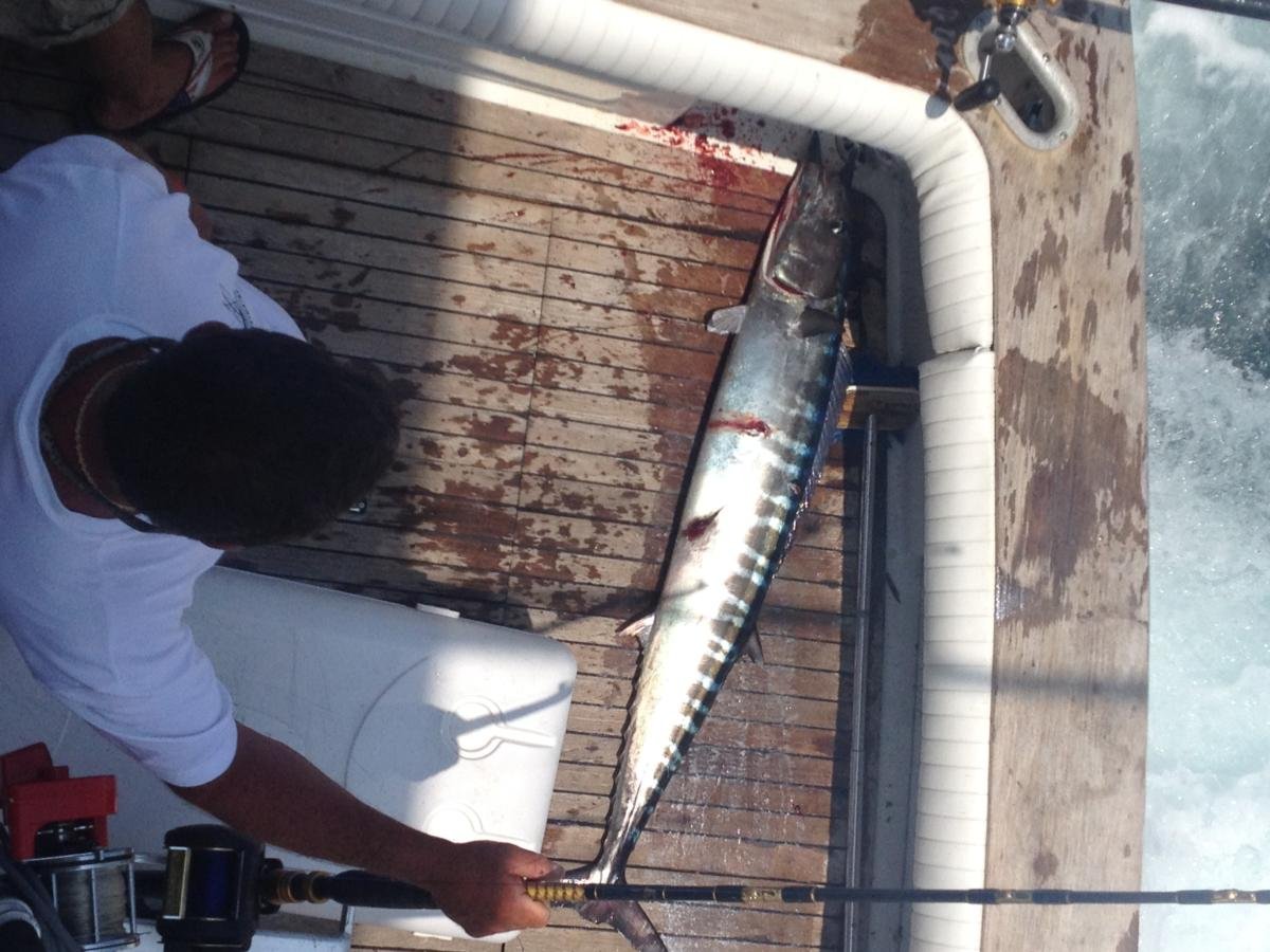 Offshore Marlin Special In Destin