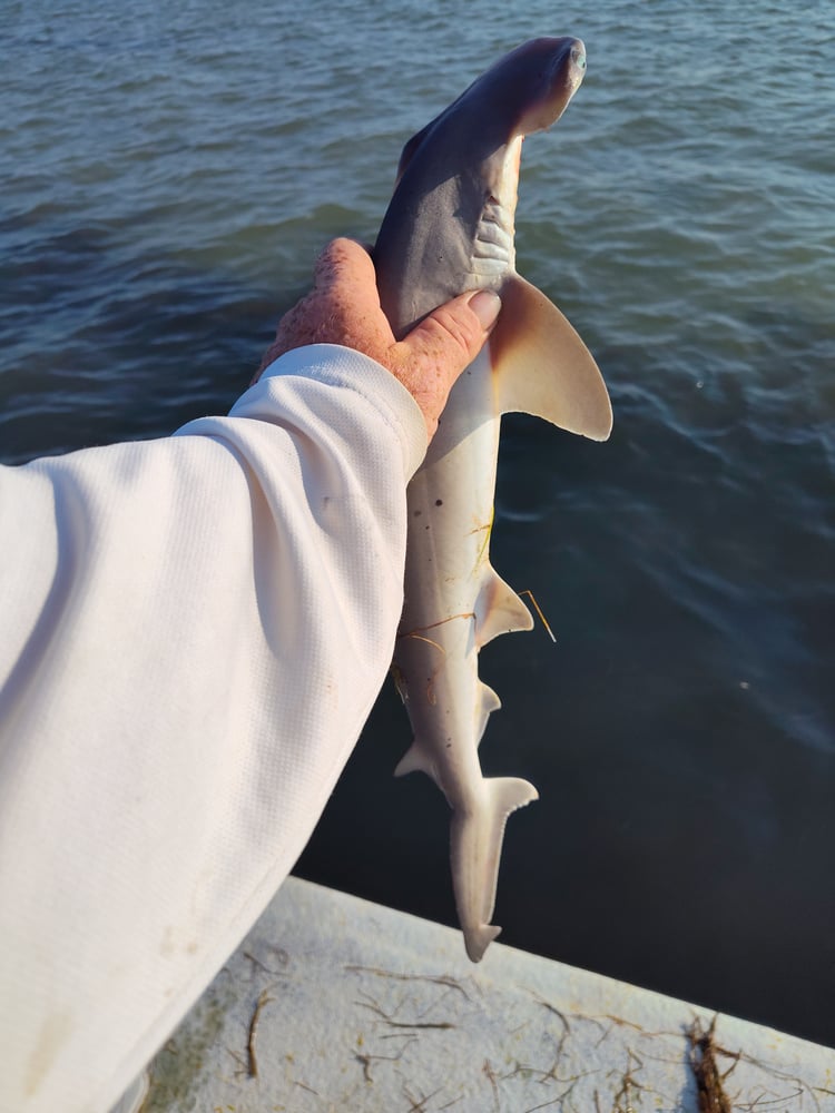 All Day Fishing In Rockport