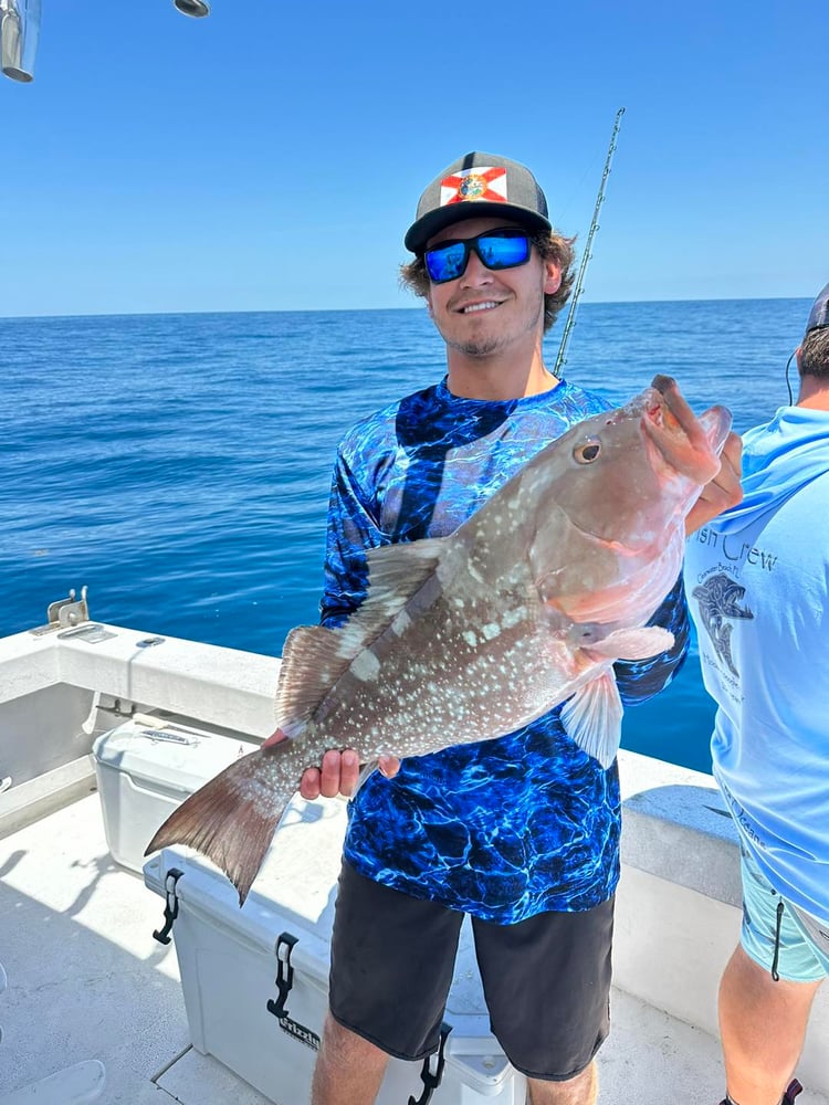 Bottom And Trolling Fishing! In Clearwater