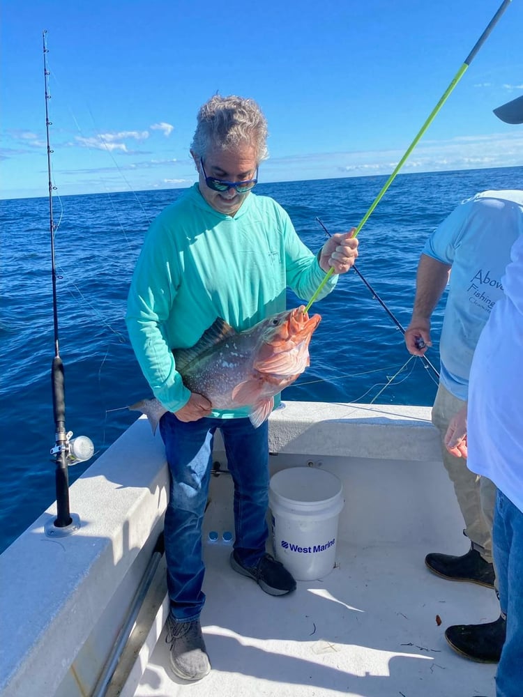 Bottom And Trolling Fishing! In Clearwater