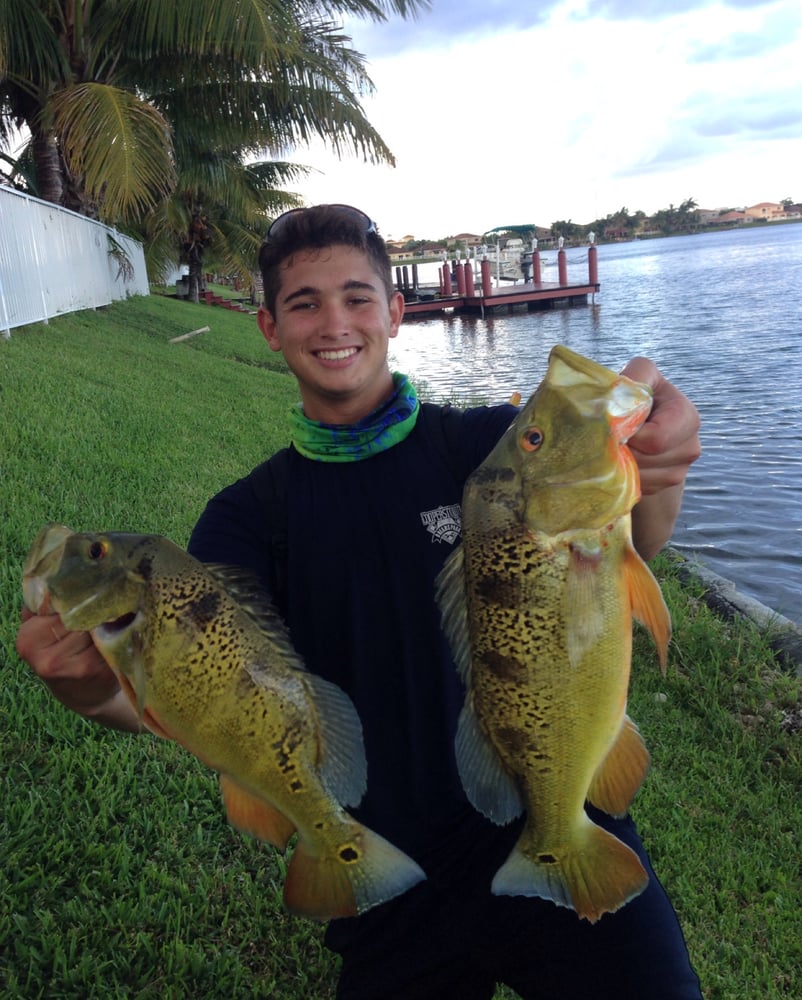 Peacock Bass Fishing In Kendall