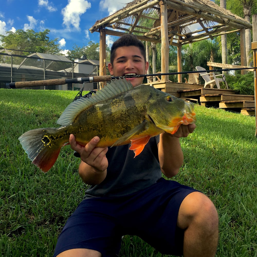 Peacock Bass Fishing In Kendall