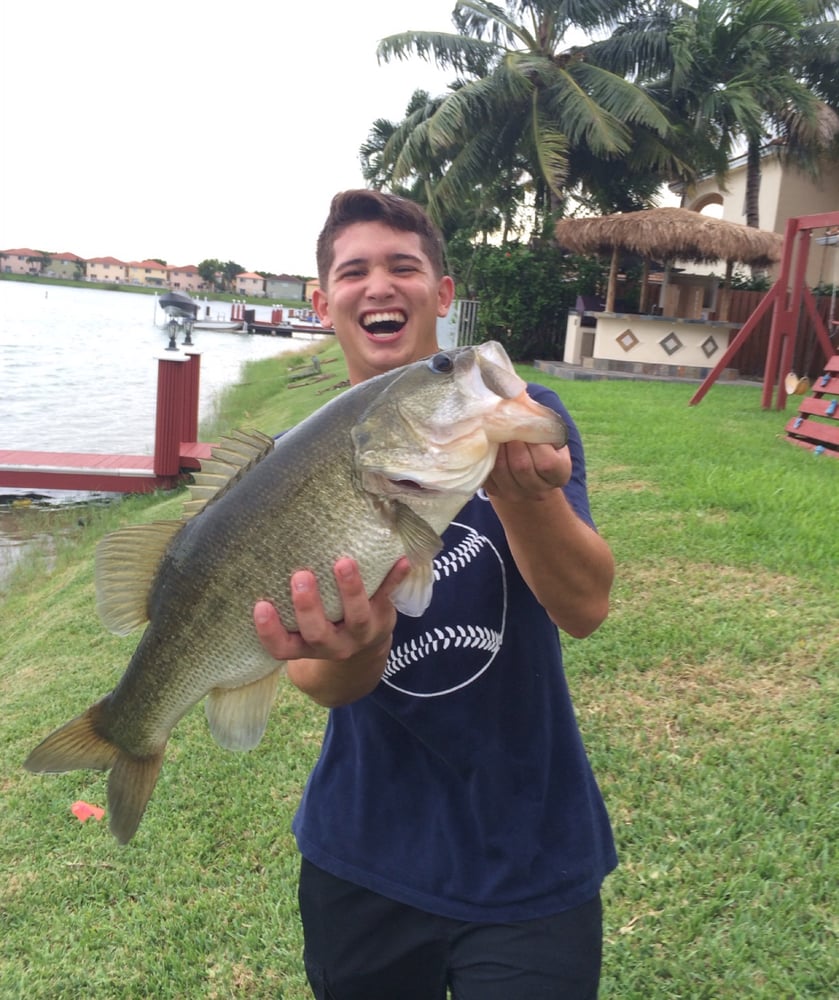 Peacock Bass Fishing In Kendall