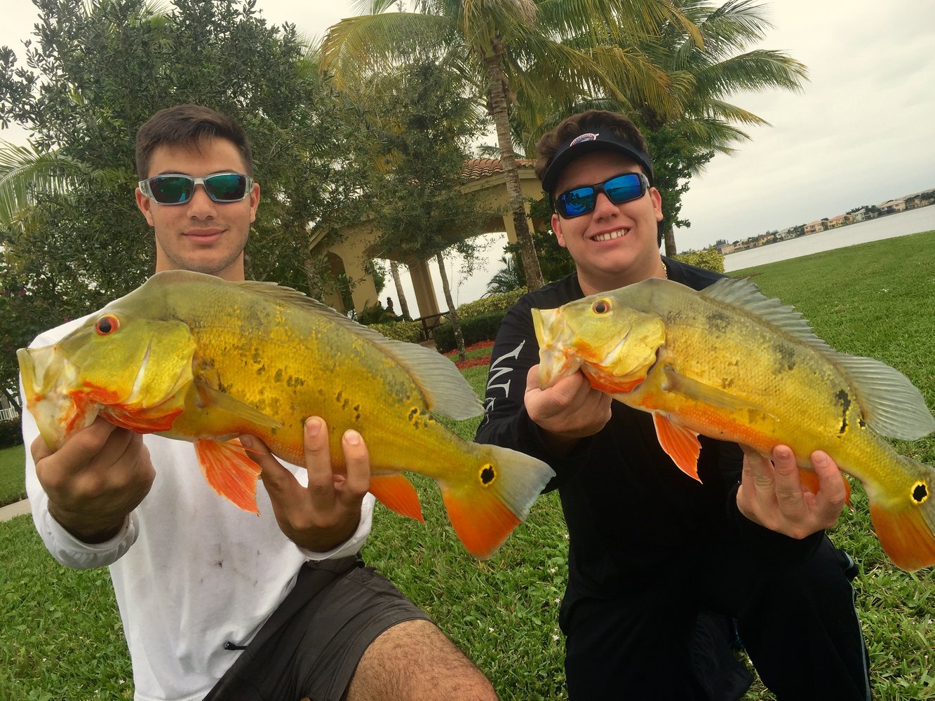 Peacock Bass Fishing In Kendall