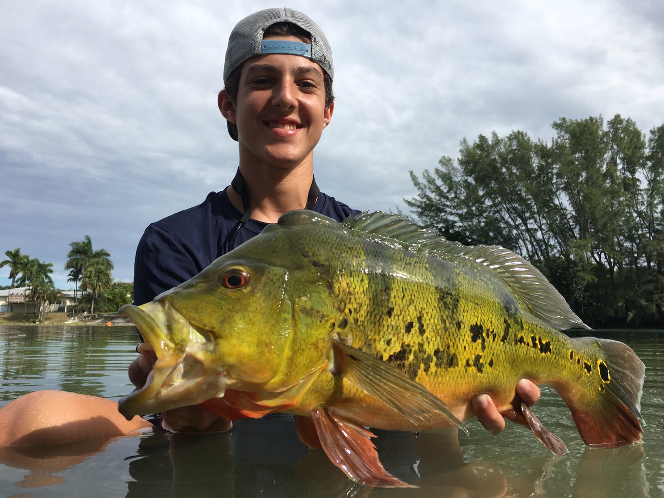 Peacock Bass Fishing In Kendall