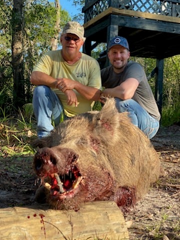 ALLIGATOR/HOG COMBO HUNT In Zolfo Springs