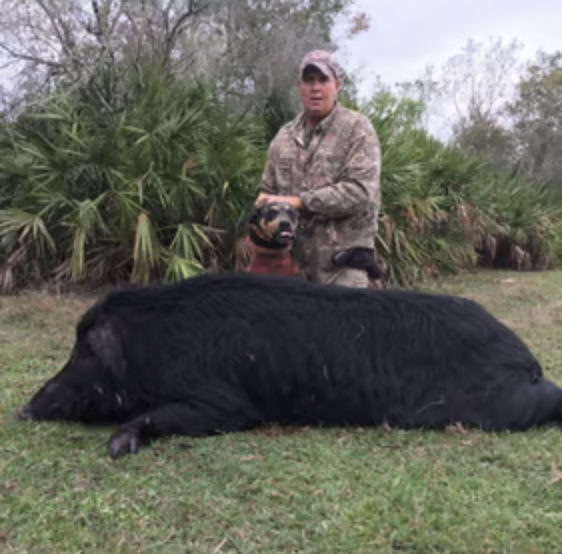 ALLIGATOR/HOG COMBO HUNT In Zolfo Springs